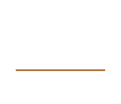 logo-Newlimits-blanc